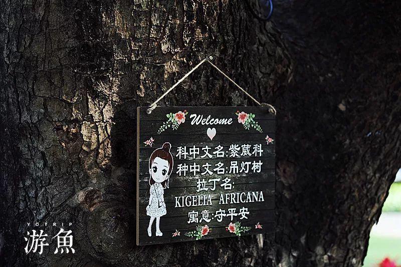 如龙0